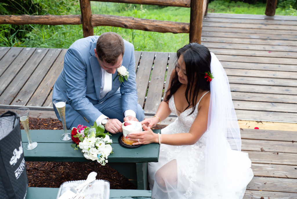 bride and groom cutting cake at mountain top ceremony