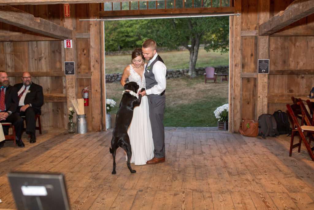 first dance as husband and wife with their flower girl dog
