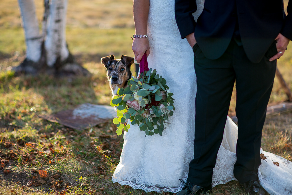 dog peaking around from behind wedding bouquet