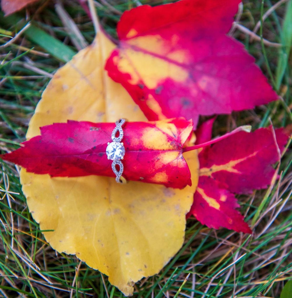 engagement ring on a red foliage leave