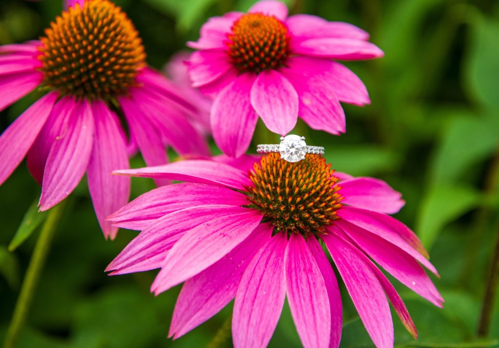 diamond ring shot on a beautiful hot pink flower