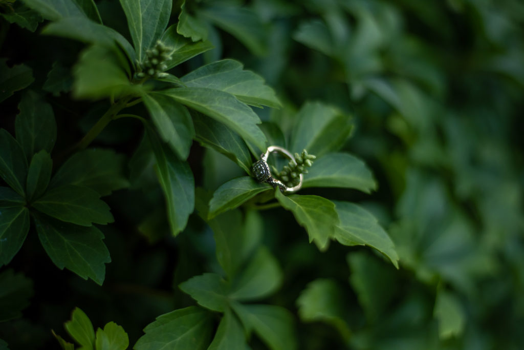 close up of engagement ring on a plant