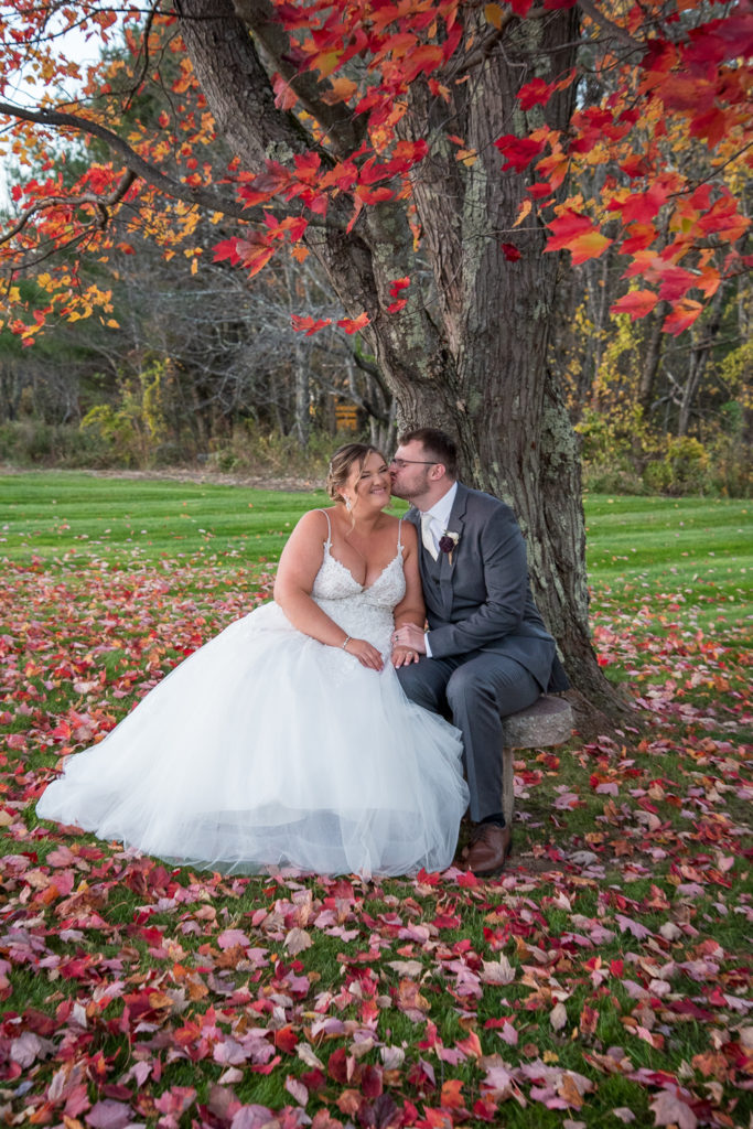 bride and groom sitting on a bench in front of a red foliage tree at the perfect fall wedding 