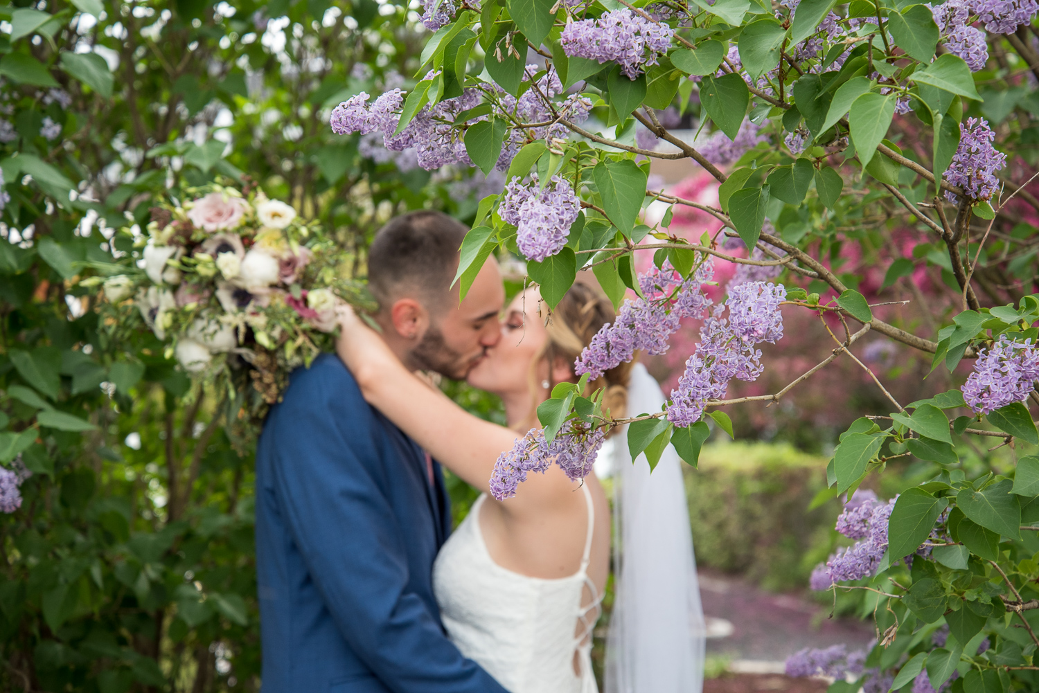 bride and groom kissing behind lilacs