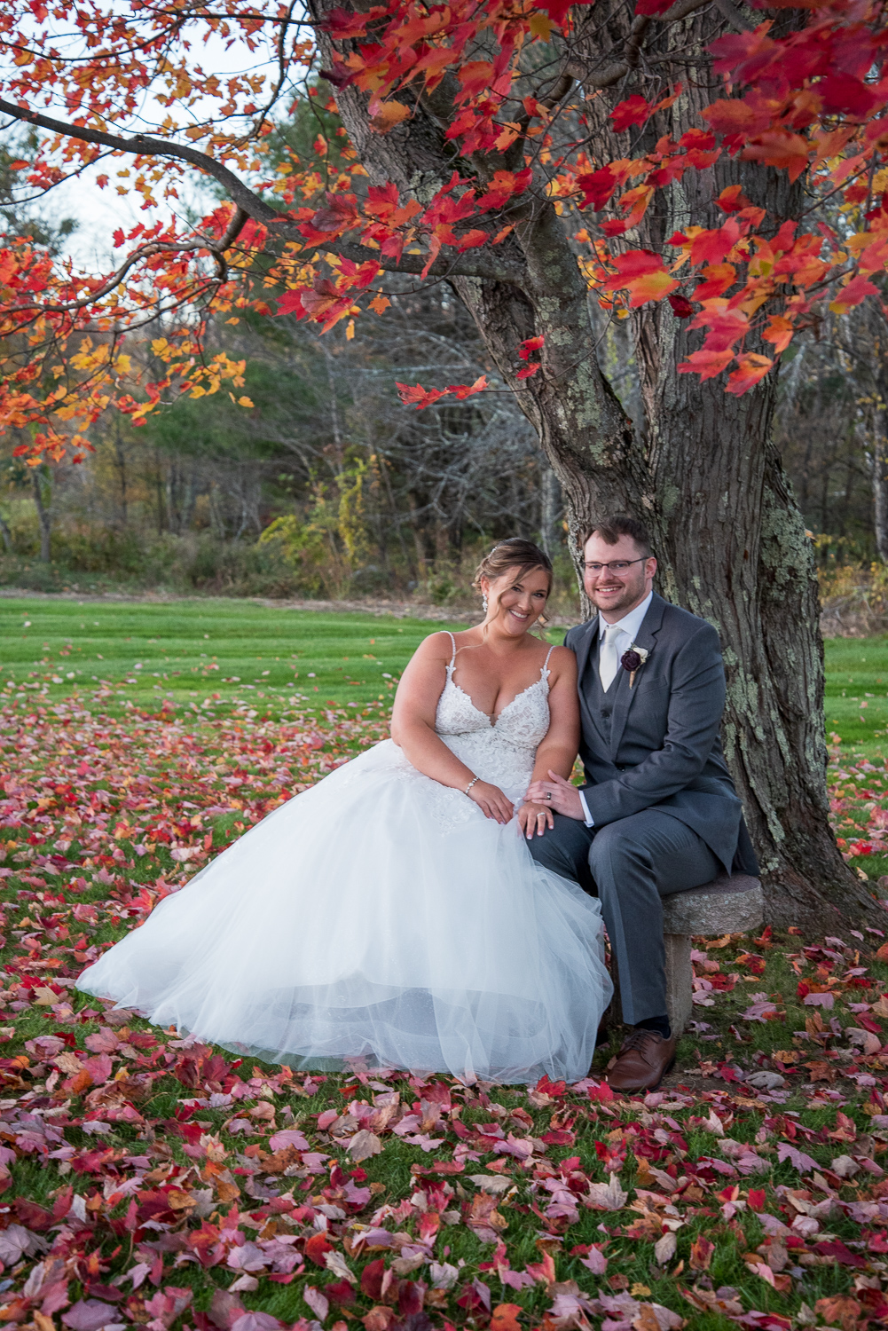 bride and groom sitting on a bench in front of a beautiful bright red tree